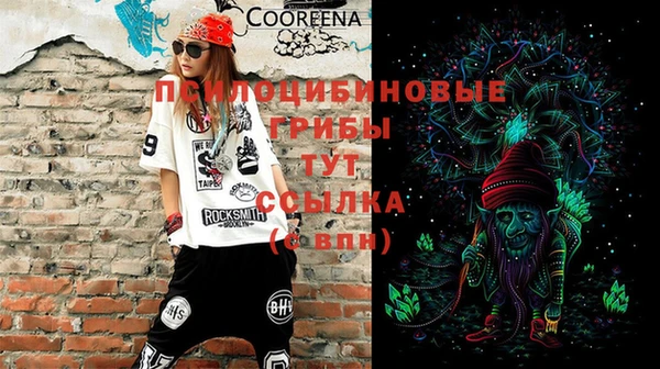 гидра Алексин