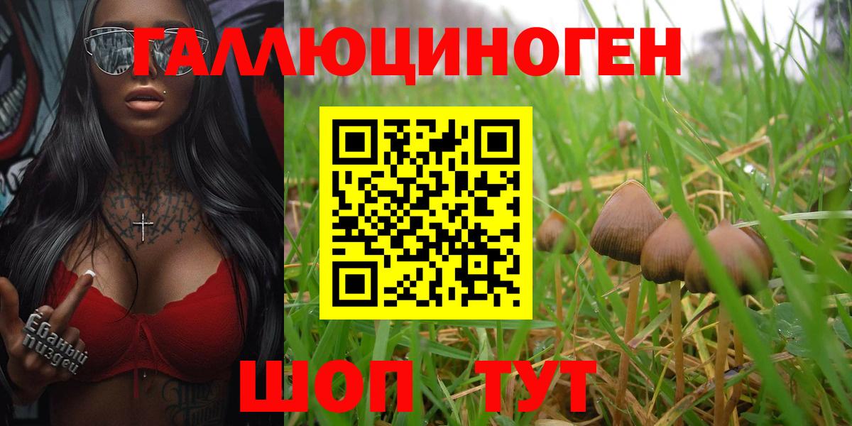 Заводоуковск  Галлюциногенные грибы MAGIC MUSHROOMS  Вход с VPN 