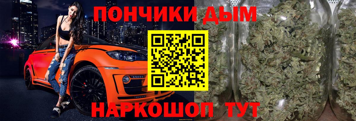Шишки марихуана гибрид  Вход с VPN  Бошки марихуана планчик  Заводоуковск  Бошки Шишки ГИДРОПОН 